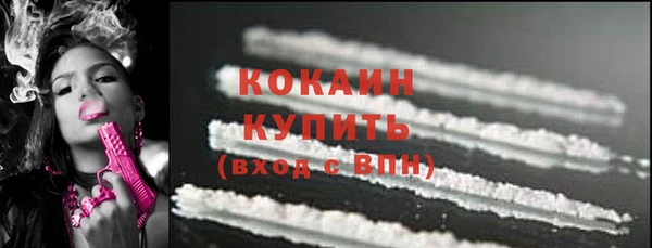 молекула духа Козловка