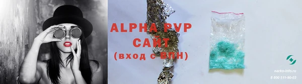 стафф Гвардейск