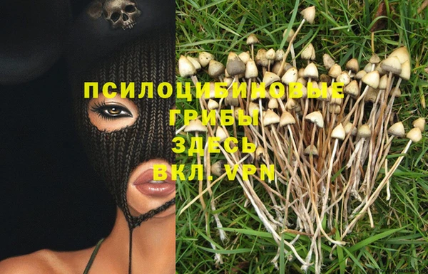 молекула духа Козловка