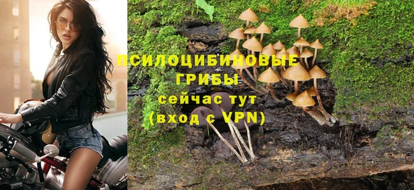 ПСИЛОЦИБИНОВЫЕ ГРИБЫ Козельск