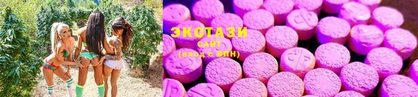ПСИЛОЦИБИНОВЫЕ ГРИБЫ Козельск