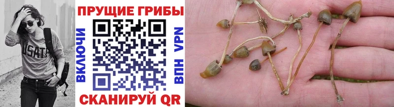 Псилоцибиновые грибы Cubensis hydra зеркало Козловка